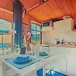 Dinocamp * 로리냐