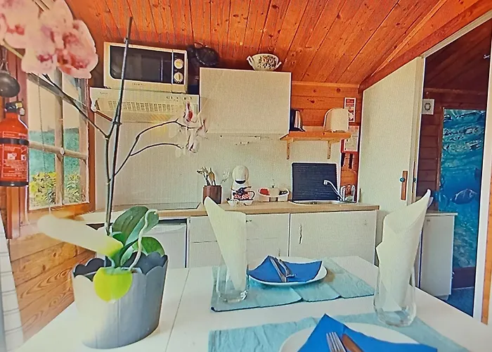Landhuis Dinocamp *