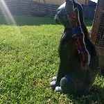 Dinocamp * Lourinhã