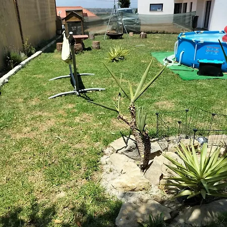 Dinocamp