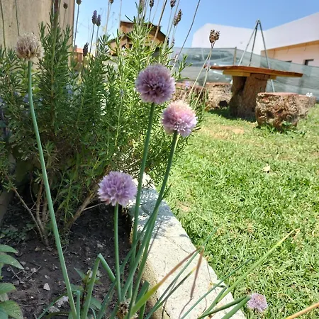 Dinocamp Country house