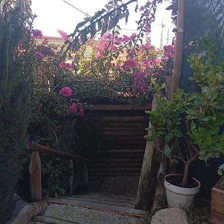 Country house Dinocamp *