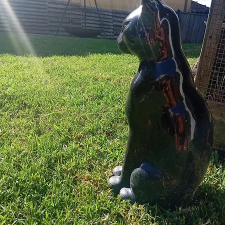 Dinocamp * Lourinha (Lisbon)