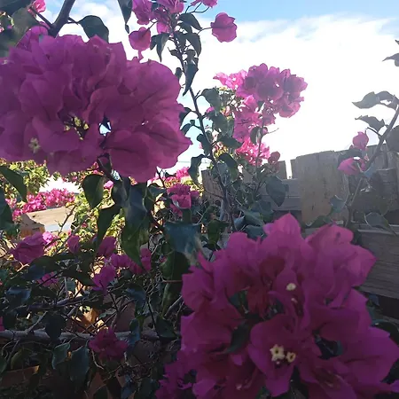 Dinocamp Country house Lourinha (Lisbon)