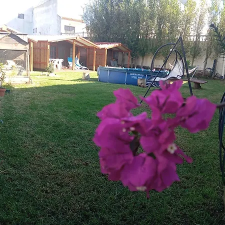 Venkovský dům Dinocamp