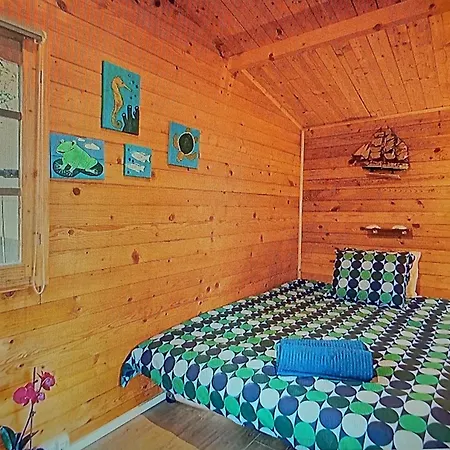 Country house Dinocamp