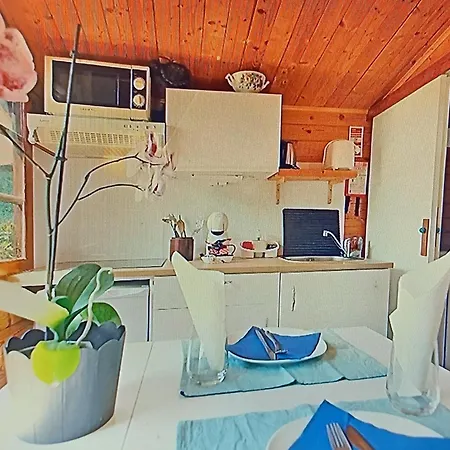 Country house Dinocamp *