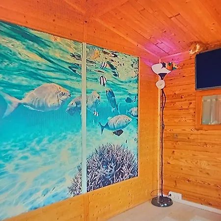 Dinocamp Lourinha (Lisbon)