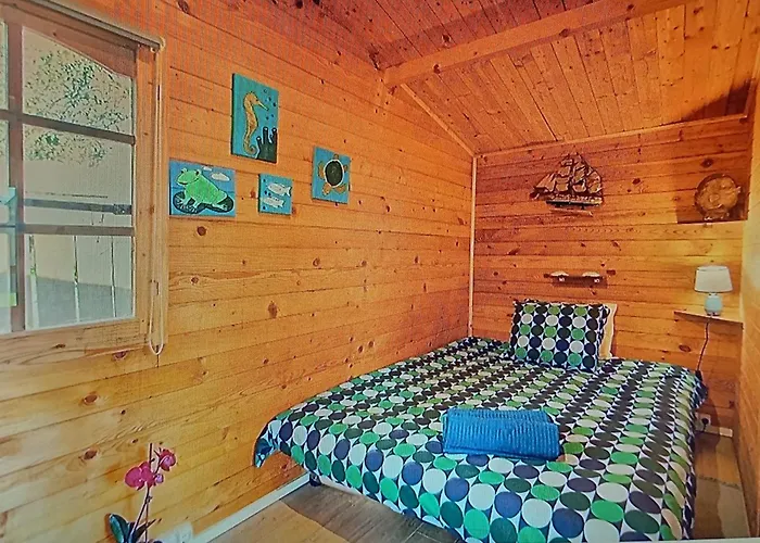 Kır Evi Dinocamp